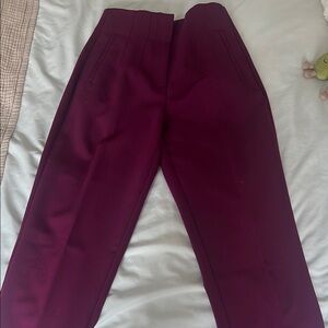 Zara Purple Trousers